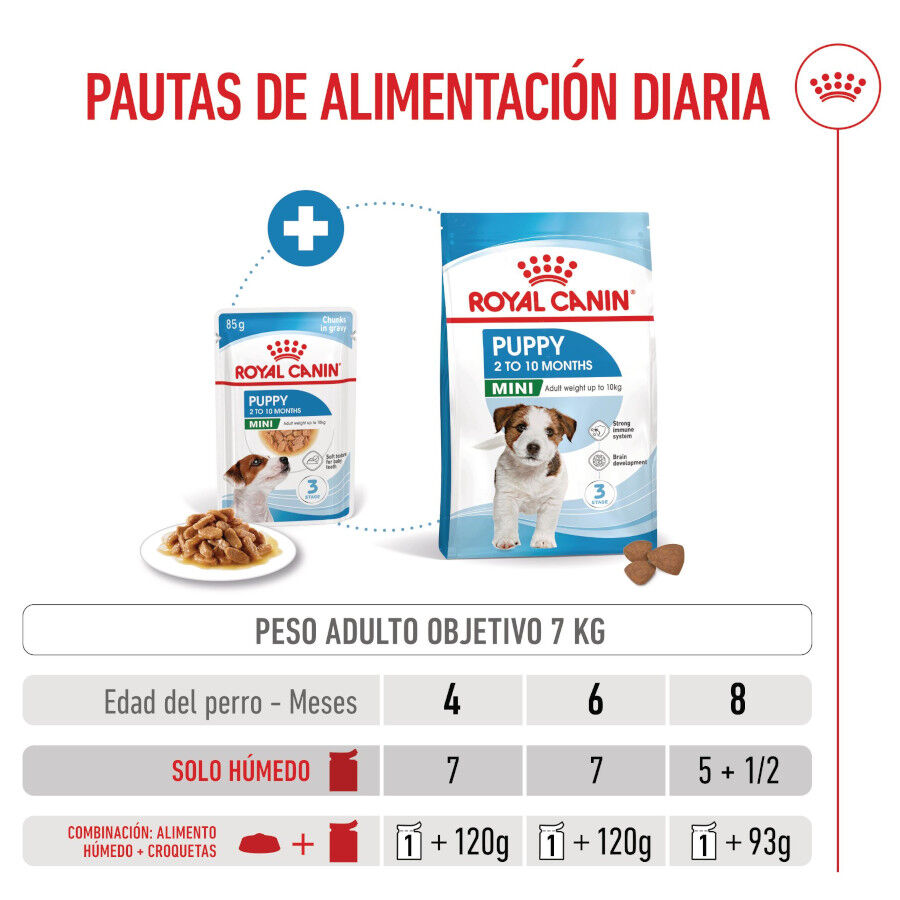 Royal Canin Mini Puppy sobre en salsa thumbnail