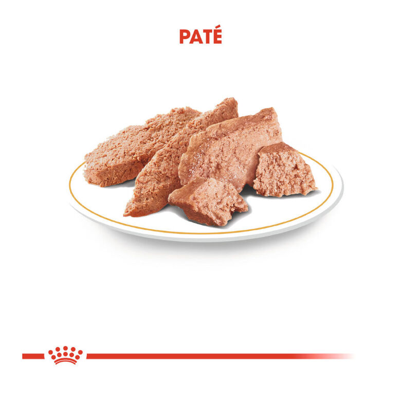Royal Canin Adult Teckel paté en sobre para perros thumbnail