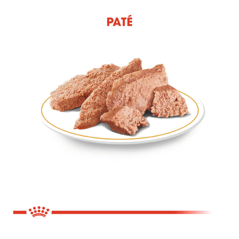 85 g Royal Canin Adult Teckel paté en sobre para perros,  Imagen numero 5 85 g Royal Canin Adult Teckel paté en sobre para perros, , large Imagen numero 5