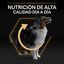 16.5 kg (14 + 2.5 kg ¡gratis!) Pro Plan Medium Adult Pollo pienso para perros, , large indicador imagen numero 8