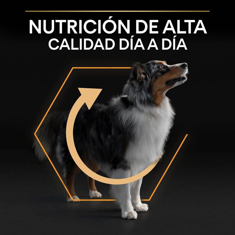 Pro Plan Medium Adult Pollo pienso para perros thumbnail