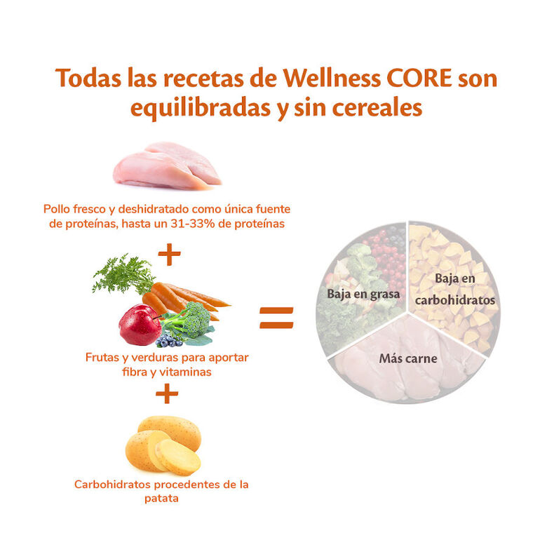 Wellness Core Puppy Small/Medium Pollo y Pavo pienso para perros thumbnail