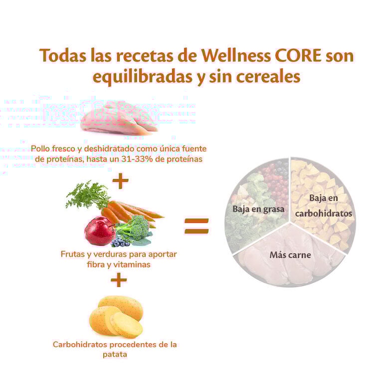 10 kg Wellness Core Puppy Small/Medium Pollo y Pavo pienso para perros,  Imagen numero 4 10 kg Wellness Core Puppy Small/Medium Pollo y Pavo pienso para perros, , large Imagen numero 4
