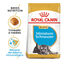 Royal Canin Puppy Miniature Schnauzer pienso para perros, , large indicador imagen numero 1