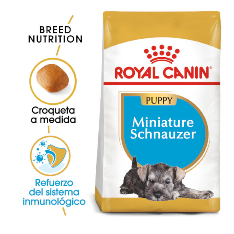 1.5 kg Royal Canin Puppy Miniature Schnauzer pienso para perros,  Imagen numero 1 1.5 kg Royal Canin Puppy Miniature Schnauzer pienso para perros, , large Imagen numero 1