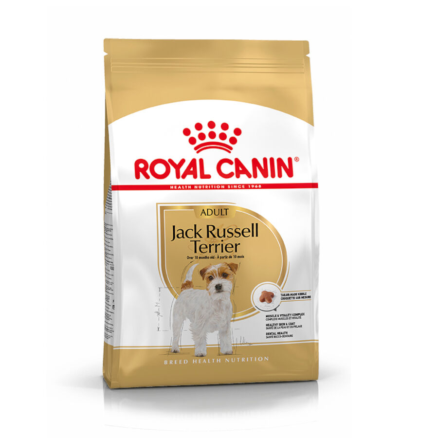 Royal Canin Adult Jack Russell Terrier pienso para perros thumbnail