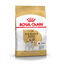 7.5 kg Royal Canin Adult Jack Russell Terrier pienso para perros, , large indicador imagen numero 1