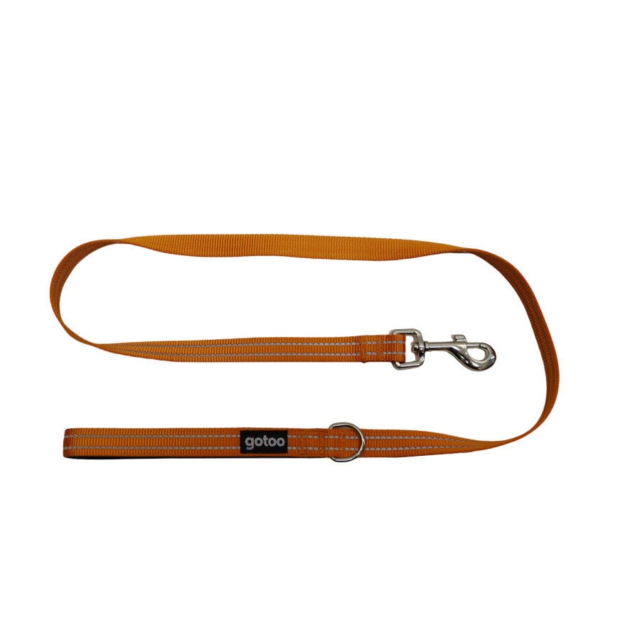 Gotoo Correa de nylon reflectante naranja para perros, , large Imagen numero 1