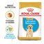 12 kg Royal Canin Puppy Labrador Retriever pienso para perros, , large indicador imagen numero 2
