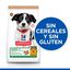 Hill's Science Plan Puppy Small & Medium Pollo pienso para perros, , large indicador imagen numero 3