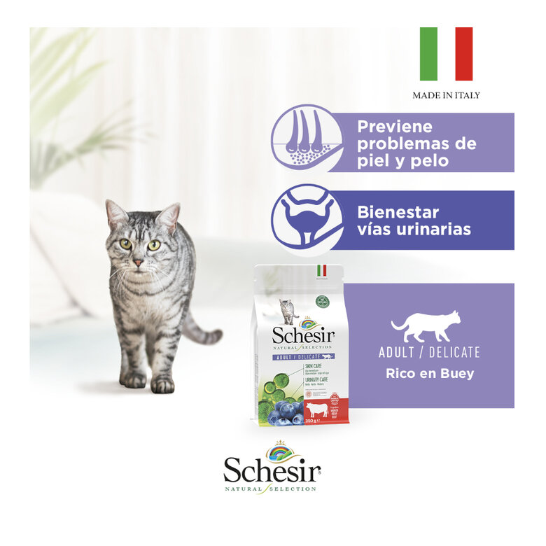 1.4 kg Schesir Adult Natural Selection Buey pienso para gatos,  Imagen numero 5 1.4 kg Schesir Adult Natural Selection Buey pienso para gatos, , large Imagen numero 5