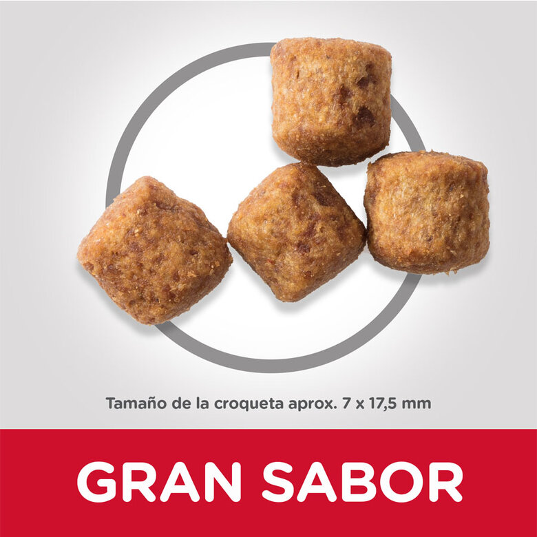 Hill's Science Plan Mature Adult Large Pollo pienso para perros, , large image number null