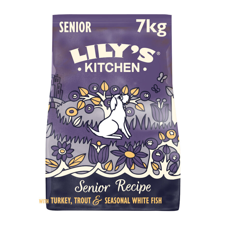 Lily's Kitchen Adult +8 Pavo y Trucha pienso para perros