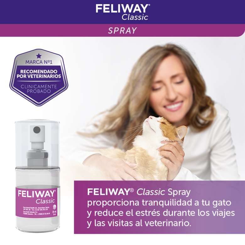 Feliway Spray tranquilizante para gatos,  Imagen numero 5 Feliway Spray tranquilizante para gatos, , large Imagen numero 5