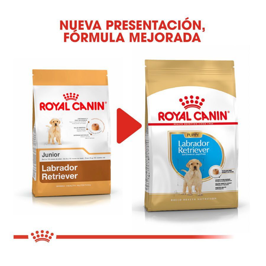 Royal Canin Puppy Labrador Retriever pienso para perros thumbnail