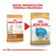 12 kg Royal Canin Puppy Labrador Retriever pienso para perros, , large indicador imagen numero 3