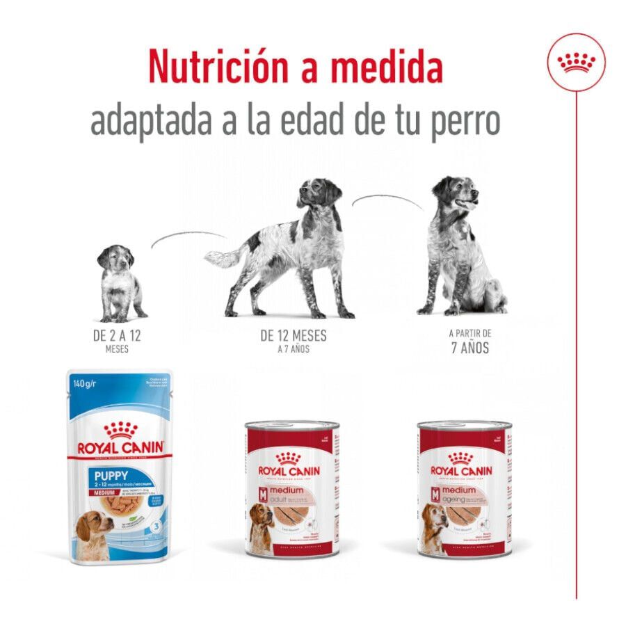 Royal Canin Medium 7+ Ageing lata para perros thumbnail