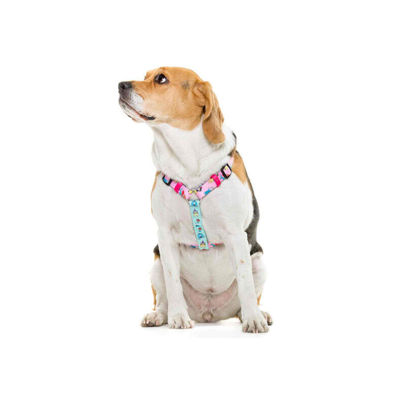Dukier Clásico Arnés Estampado Princesas para perros thumbnail