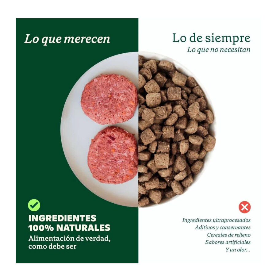 1 kg Wild Balance Barf Men&uacute; salm&oacute;n con verduras comida congelada para perros, , large Imagen numero 2