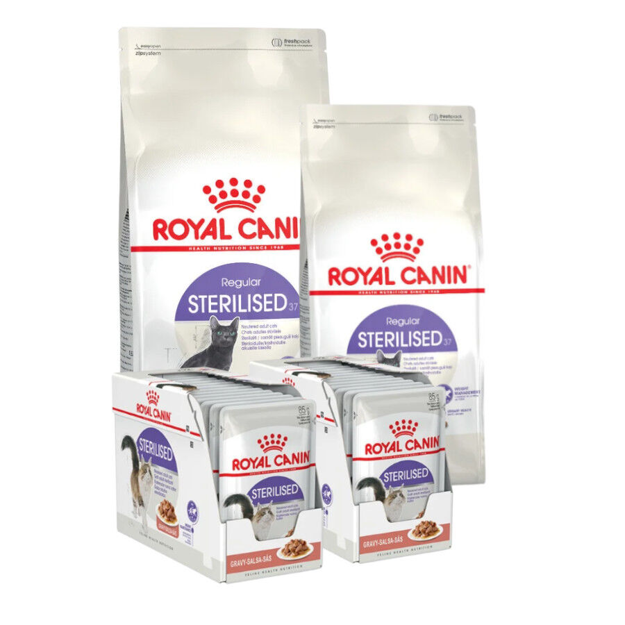 Pack Royal Canin 14 kg Pienso Regular Sterilised + 24 pouches gratis ¡Pack Ahorro!