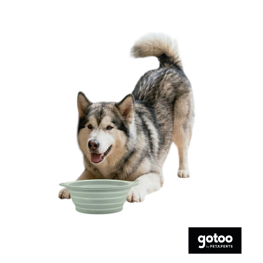 Gotoo Bebedero Plegable y Port&aacute;til de Silicona para perros y gatos, , large Imagen numero 7