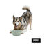 Gotoo Bebedero Plegable y Port&aacute;til de Silicona para perros y gatos, , large indicador imagen numero 7