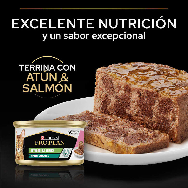 Pro Plan Adult Sterilised Maintenance Salmón y Atún lata para gatos thumbnail