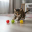 Tootoy! Pelota con Cascabel Colores Variados para gatos, , large indicador imagen numero 1