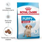 Royal Canin Puppy Medium pienso para perros, , large image number null
