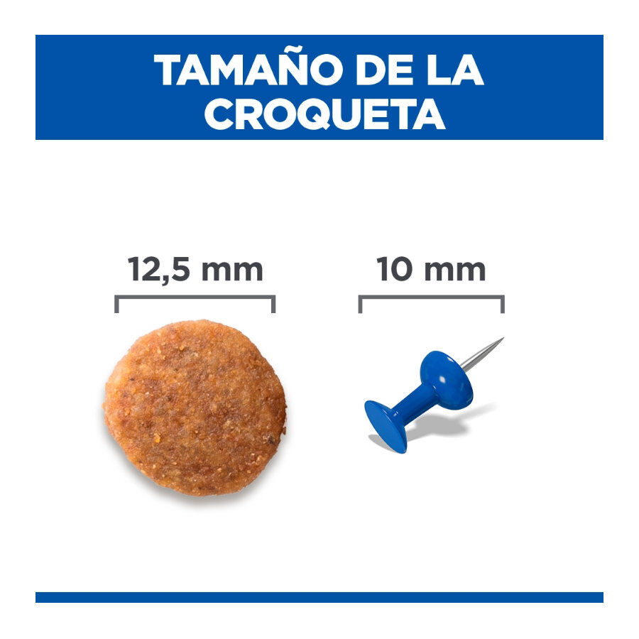 12 kg Hill's Science Plan Perfect Weight Adult Medium Pollo pienso para perros, , large Imagen numero 4