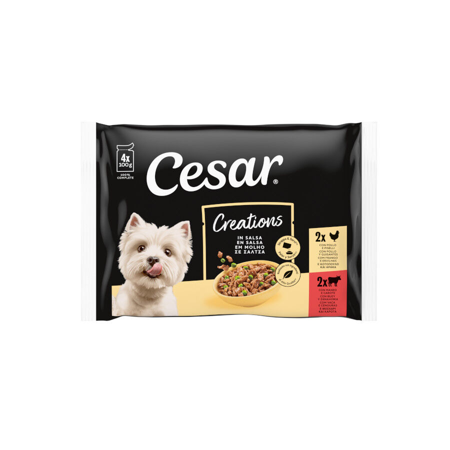 4 sobres x 100 g Cesar Carnes Mixtas Gelatina en Bolsita para Perros , , large Imagen numero 1