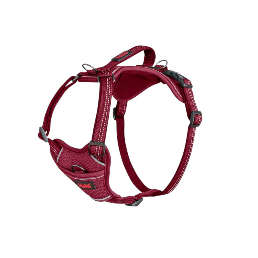 Halti arn&eacute;s anat&oacute;mico con asa magenta para perros, , large Imagen numero 1