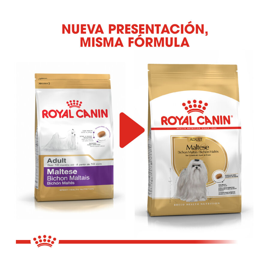 Royal Canin Adult Bichón Maltés pienso para perros thumbnail