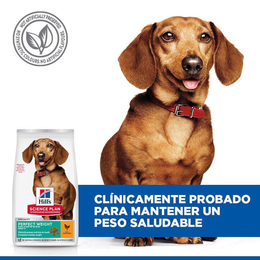 Hill&#039;s Science Plan Perfect Weight Adult Small y Mini pienso para perros thumbnail