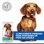 6 kg Hill's Science Plan Perfect Weight Adult Small y Mini pienso para perros, , large indicador imagen numero 6