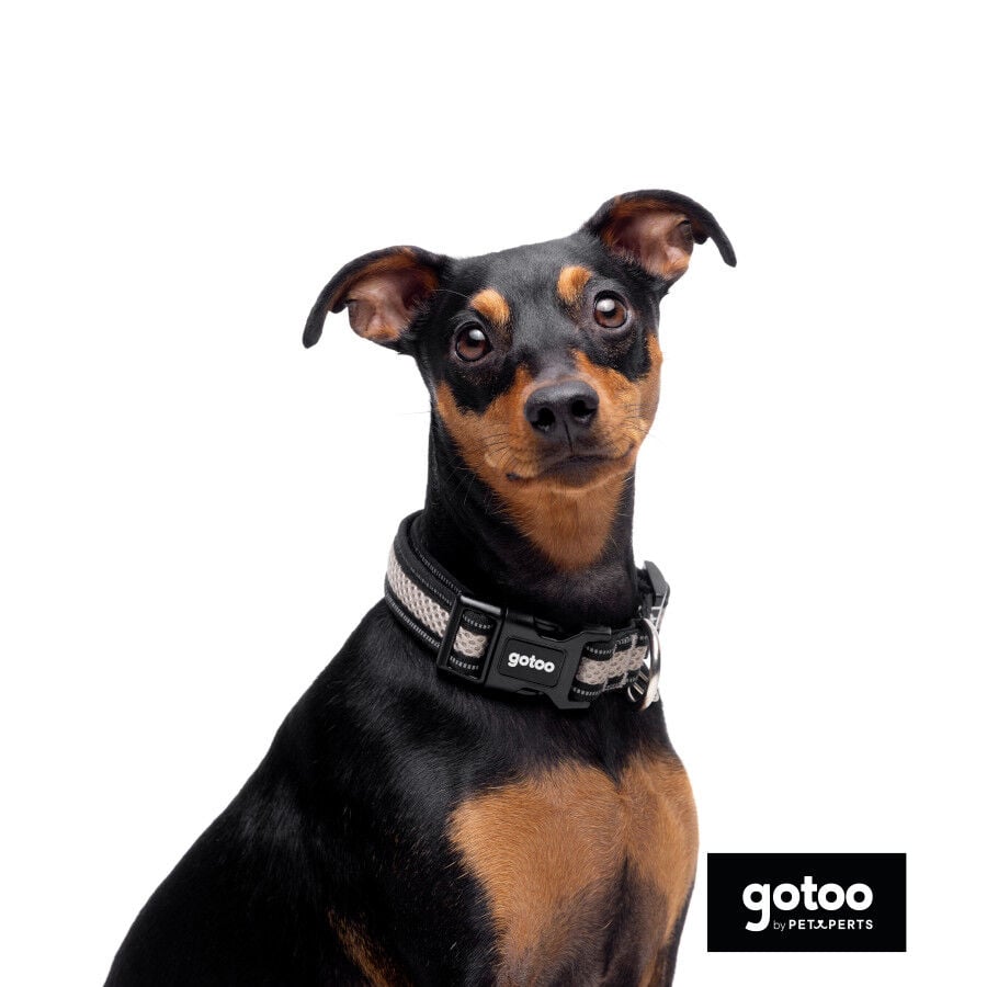 Gotoo Collar de malla transpirable gris para perros, , large Imagen numero 3