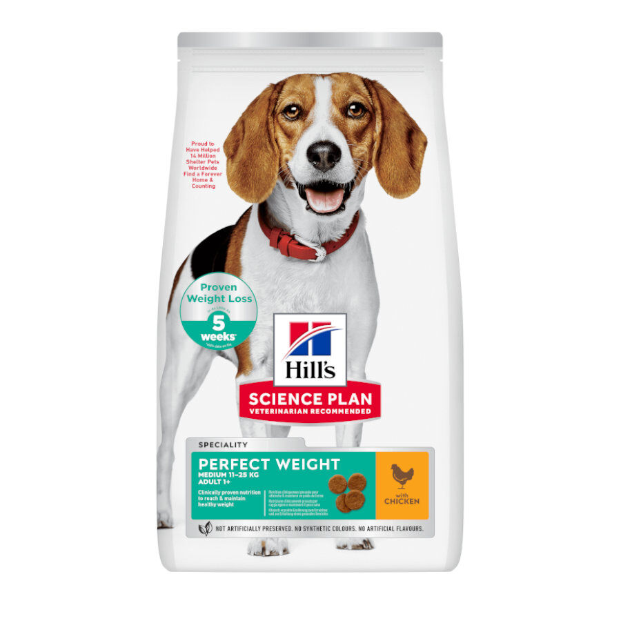 12 kg Hill's Science Plan Perfect Weight Adult Medium Pollo pienso para perros, , large Imagen numero 1