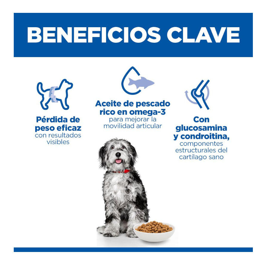 12 kg Hill's Science Plan Perfect Weight y Active Mobility pollo pienso para perros medianos, , large Imagen numero 3