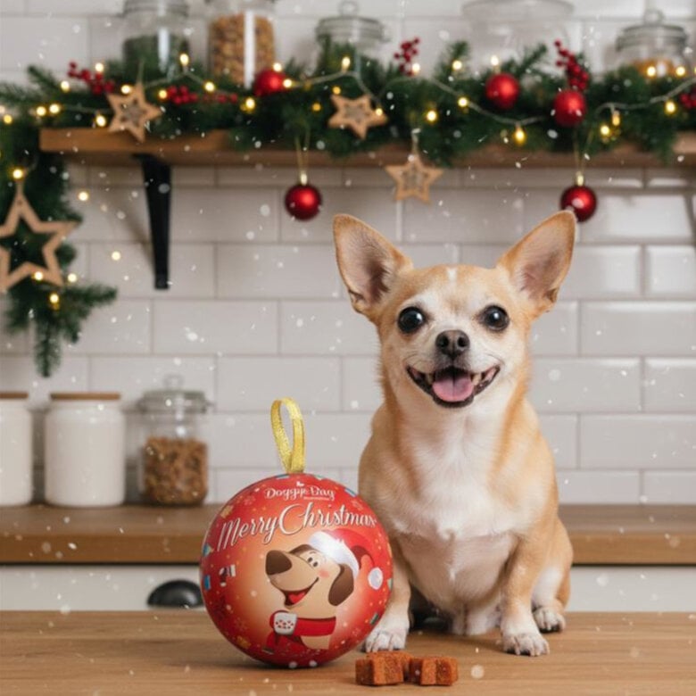 90 g Doggyebag Bola de Navidad con snacks para Perros,  Imagen numero 2 90 g Doggyebag Bola de Navidad con snacks para Perros, , large Imagen numero 2