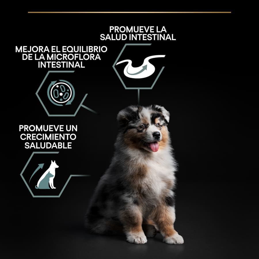 Pro Plan Puppy  Medium Digestión Cordero pienso para perros thumbnail