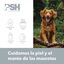 PSH Green Soul Champú para perros y gatos, , large indicador imagen numero 2