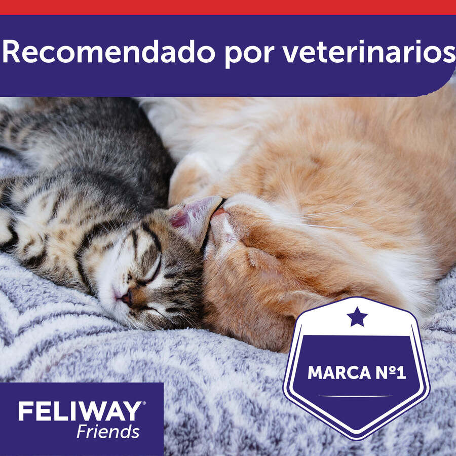 Feliway Friends Difusor para gatos thumbnail