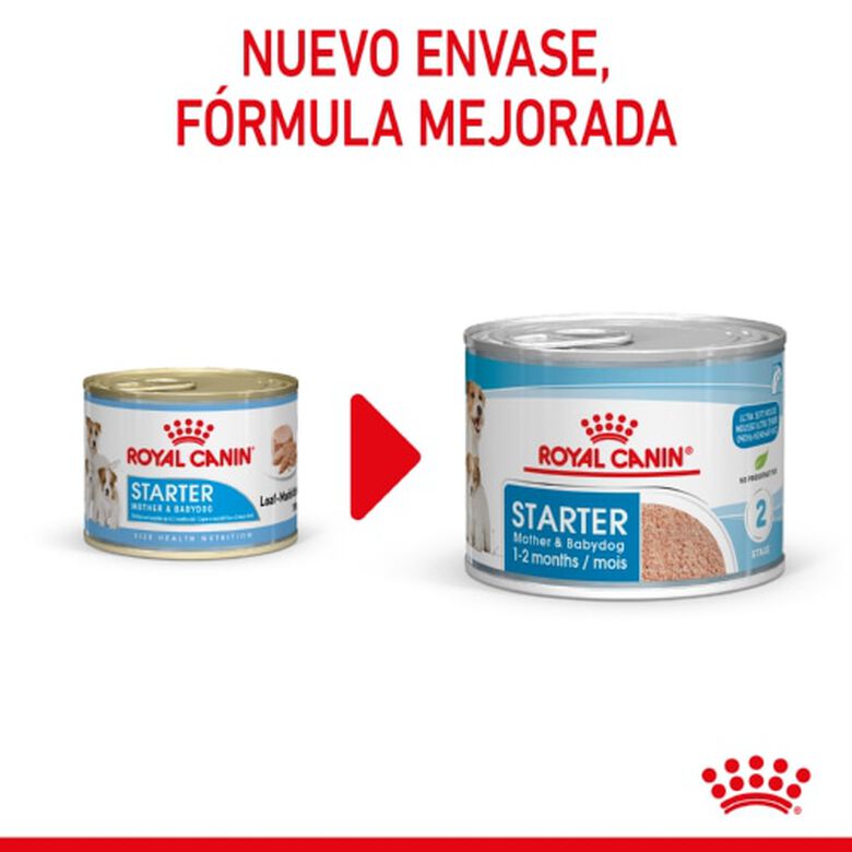 Royal Canin Starter Mommy &amp; Baby mousse latas para perros thumbnail