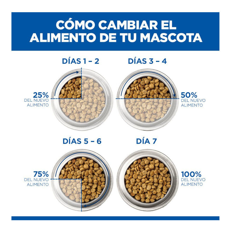 6 kg Hill's Science Plan Perfect Weight Adult Small y Mini pienso para perros, , large Imagen numero 6