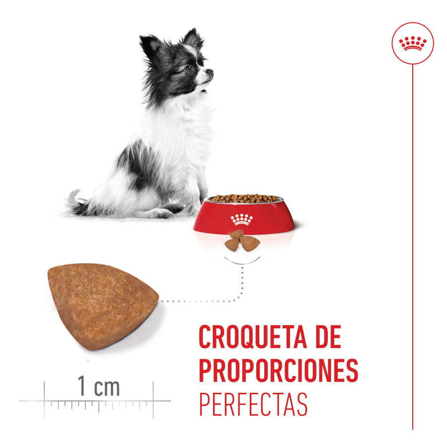 Royal Canin X-Small Puppy pienso para perros thumbnail