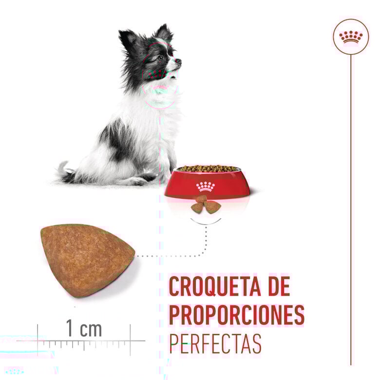 3 kg Royal Canin X-Small Puppy pienso para perros,  Imagen numero 5 3 kg Royal Canin X-Small Puppy pienso para perros, , large Imagen numero 5