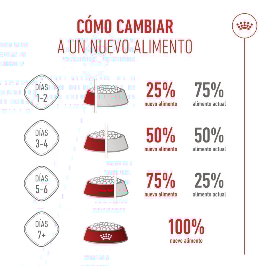 Royal Canin Mother &amp; Baby mousse latas para gatos thumbnail