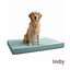 Leeby Colch&oacute;n Rayas Finas para perros, , large indicador imagen numero 7