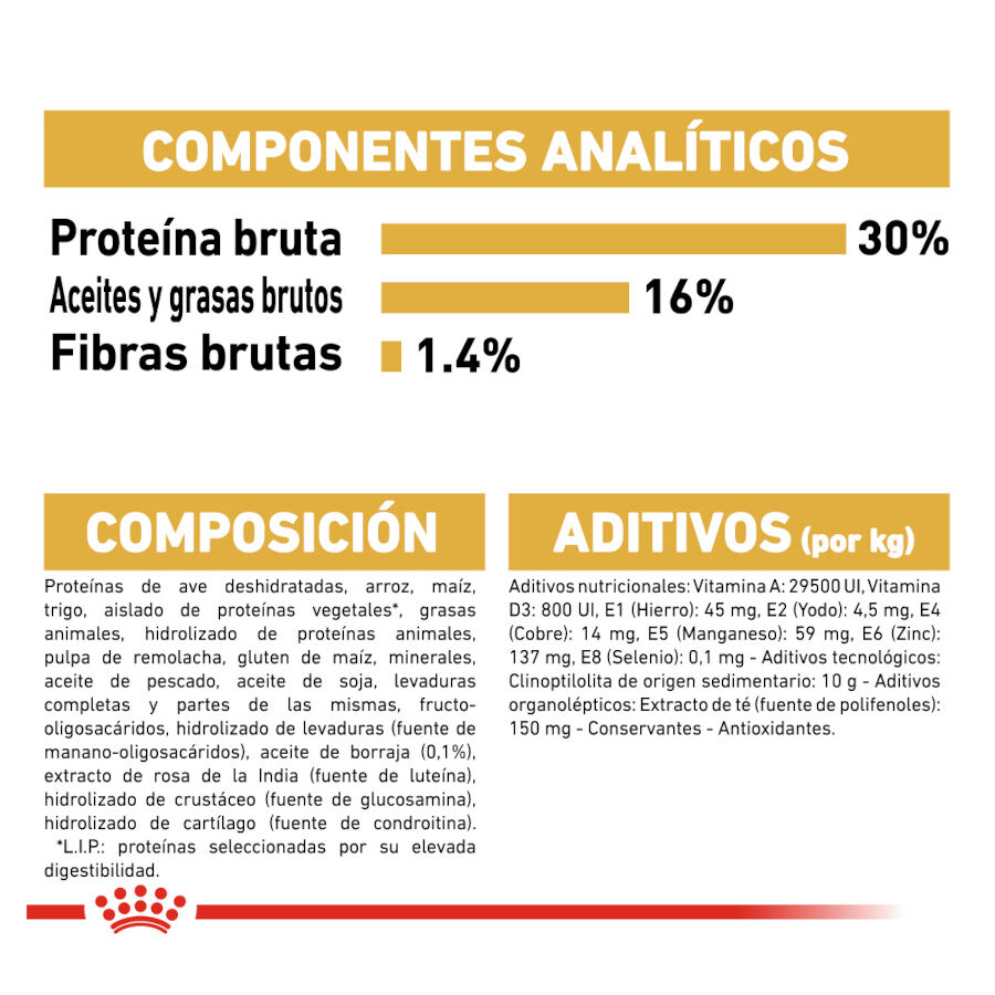 Royal Canin Adult Jack Russell Terrier pienso para perros thumbnail