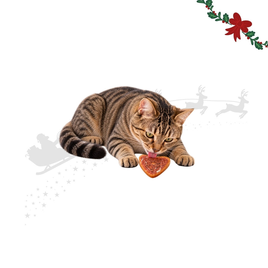 1 bolsita Wonder Christmas Corazones Pollo Snacks para gatos, , large Imagen numero 1